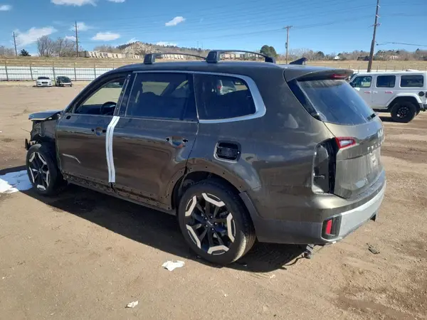 5XYP6DGC8RG482034 2024 KIA TELLURIDE - Image 2