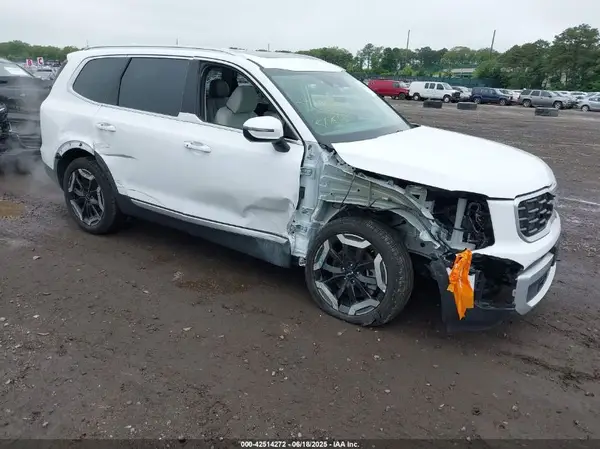 5XYP6DGC8RG535265 2024 KIA TELLURIDE - Image 1