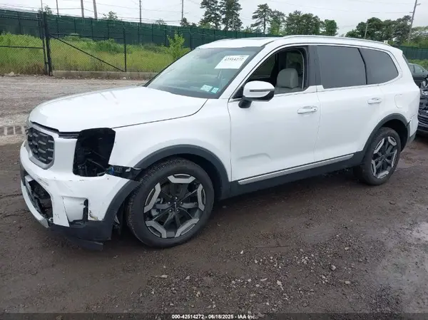 5XYP6DGC8RG535265 2024 KIA TELLURIDE - Image 2