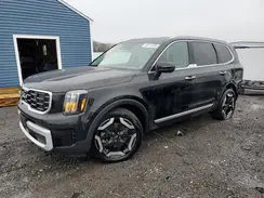 5XYP6DGC8RG563289 2024 KIA TELLURIDE