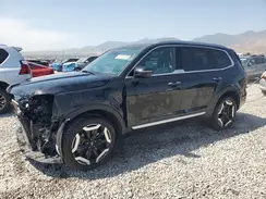 5XYP6DGC8SG591387 2025 KIA TELLURIDE