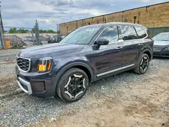 5XYP6DGC8SG619186 2025 KIA TELLURIDE