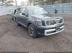 5XYP6DGC8SG639079 2025 KIA TELLURIDE