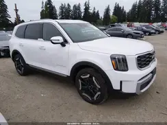 5XYP6DGC8SG668257 2025 KIA TELLURIDE