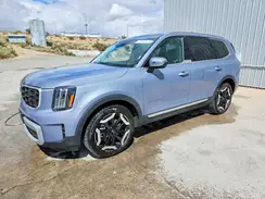 5XYP6DGC8SG696897 2025 KIA TELLURIDE
