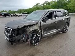 5XYP6DGC9PG343463 2023 KIA TELLURIDE