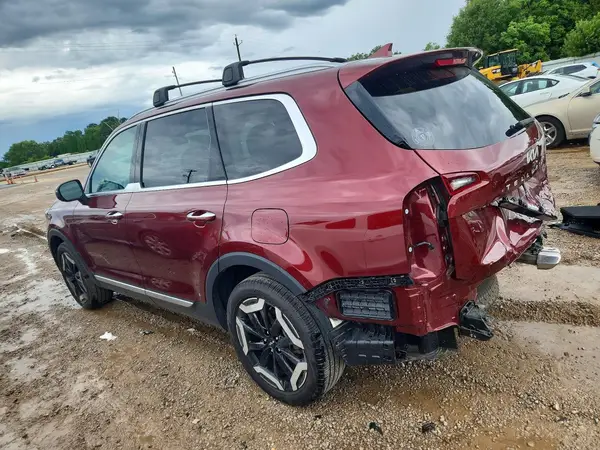 5XYP6DGC9RG463492 2024 KIA TELLURIDE - Image 2