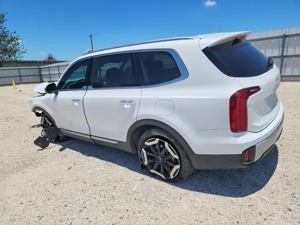 5XYP6DGC9RG484407 2024 KIA TELLURIDE - Image 2