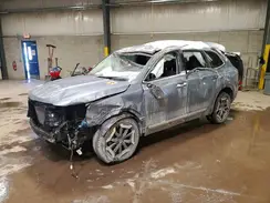 5XYP6DGC9RG493298 2024 KIA TELLURIDE