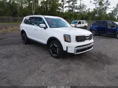 5XYP6DGC9RG506373 2024 KIA TELLURIDE