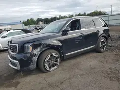 5XYP6DGC9RG529538 2024 KIA TELLURIDE