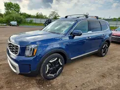 5XYP6DGC9RG556206 2024 KIA TELLURIDE