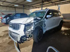 5XYP6DGC9SG583802 2025 KIA TELLURIDE