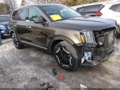 5XYP6DGC9SG611761 2025 KIA TELLURIDE