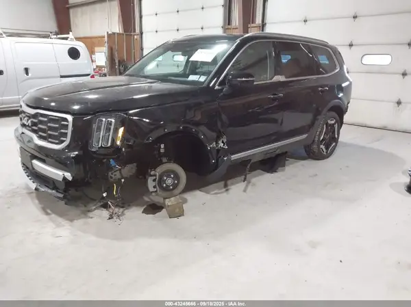 5XYP6DGC9SG627152 2025 KIA TELLURIDE - Image 2
