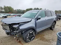 5XYP6DGC9SG663598 2025 KIA TELLURIDE