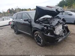 5XYP6DGC9SG696780 2025 KIA TELLURIDE