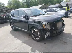 5XYP6DGCXRG445373 2024 KIA TELLURIDE