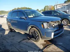 5XYP6DGCXRG454896 2024 KIA TELLURIDE
