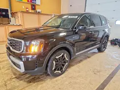 5XYP6DGCXRG479250 2024 KIA TELLURIDE
