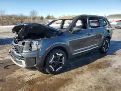 5XYP6DGCXRG480141 2024 KIA TELLURIDE