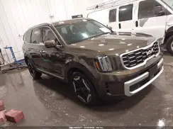 5XYP6DGCXRG490135 2024 KIA TELLURIDE