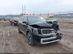 5XYP6DGCXRG497490 2024 KIA TELLURIDE