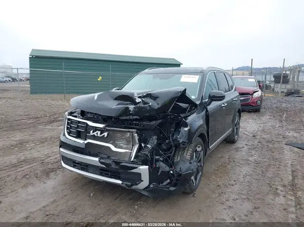 5XYP6DGCXRG497490 2024 KIA TELLURIDE - Image 2
