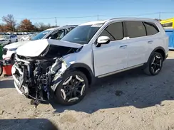 5XYP6DGCXRG512277 2024 KIA TELLURIDE