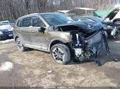 5XYP6DGCXRG526258 2024 KIA TELLURIDE