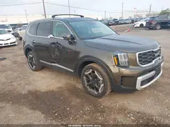 5XYP6DGCXRG566114 2024 KIA TELLURIDE