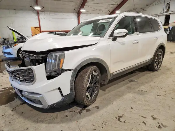 5XYP6DGCXSG600817 2025 KIA TELLURIDE - Image 1