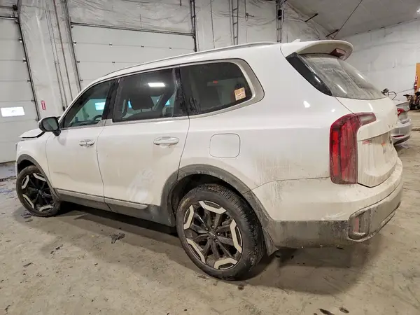 5XYP6DGCXSG600817 2025 KIA TELLURIDE - Image 2