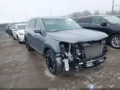 5XYP6DGCXSG621375 2025 KIA TELLURIDE