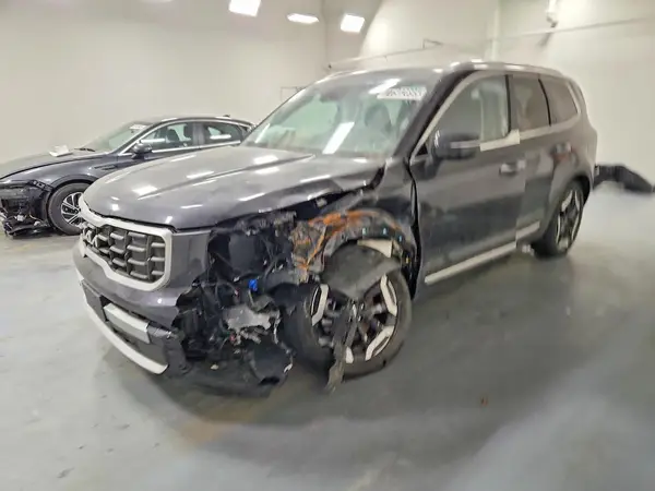 5XYP6DGCXSG681754 2025 KIA TELLURIDE - Image 1