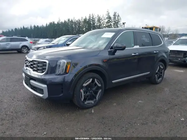 5XYP6DGCXSG698392 2025 KIA TELLURIDE - Image 2