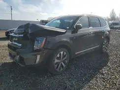 5XYP6DHC0NG300464 2022 KIA TELLURIDE