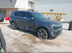 5XYP6DHC2LG031350 2020 KIA TELLURIDE