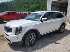 5XYP6DHC4LG065533 2020 KIA TELLURIDE