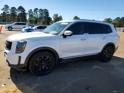 5XYP6DHC4LG091498 2020 KIA TELLURIDE