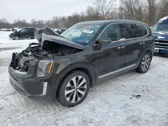 5XYP6DHC5LG056629 2020 KIA TELLURIDE