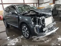 5XYP6DHC6LG065260 2020 KIA TELLURIDE
