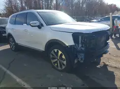 5XYP6DHC7LG018299 2020 KIA TELLURIDE