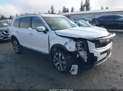 5XYP6DHC7MG145491 2021 KIA TELLURIDE