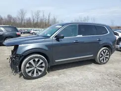 5XYP6DHC7NG244569 2022 KIA TELLURIDE