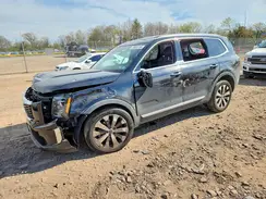5XYP6DHC8NG201102 2022 KIA TELLURIDE