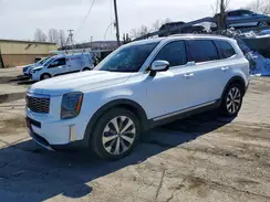 5XYP6DHCXLG035596 2020 KIA TELLURIDE
