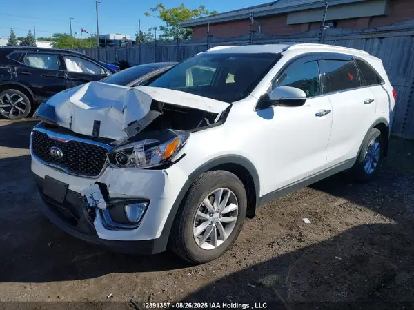 5XYPG4A14GG129064 2016 KIA SORENTO - Image 2