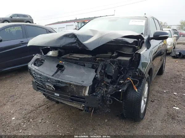 5XYPG4A30KG592264 2019 KIA SORENTO - Image 2