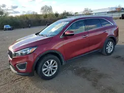5XYPG4A31GG019879 2016 KIA SORENTO